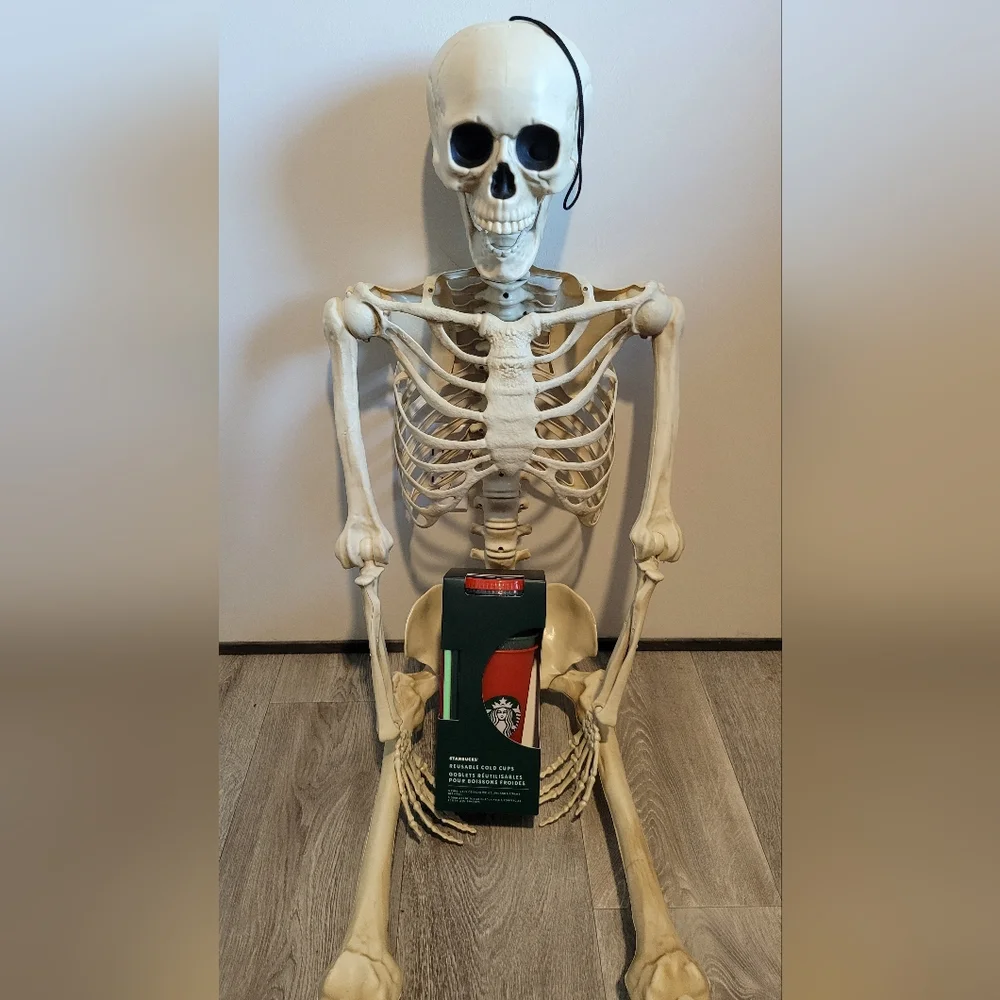 Holiday Cold Cup Set By Starbucks